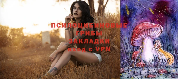 дурь Долгопрудный