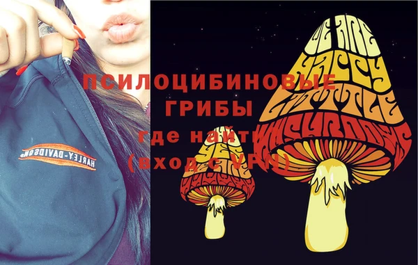 мескалин Новый Уренгой
