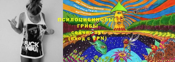 дурь Долгопрудный