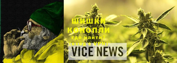 дурь Долгопрудный