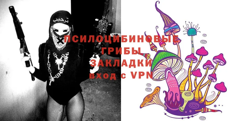 darknet телеграм  Заозёрный  OMG зеркало  Псилоцибиновые грибы Cubensis  где купить наркоту 